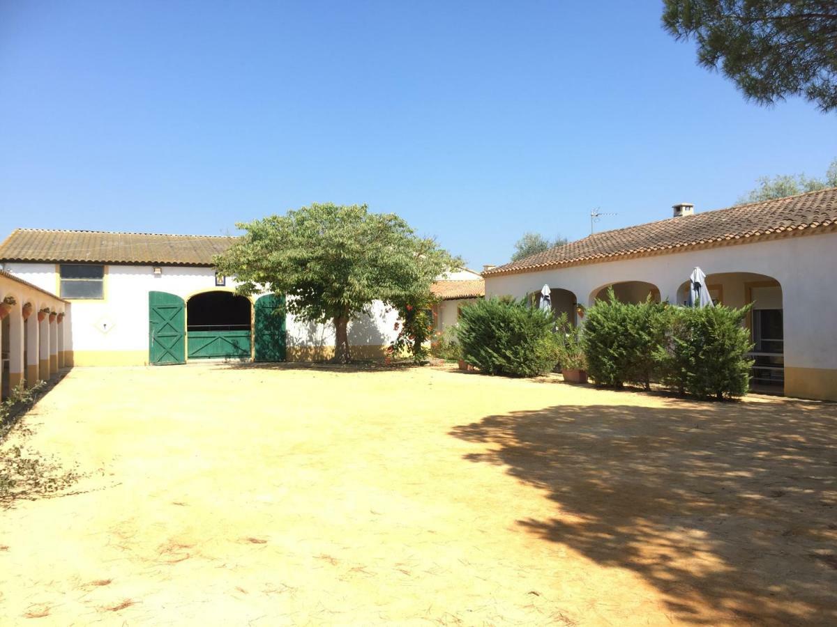 El Rocio 1 Gites Equestre Saintes-Maries-de-la-Mer Bagian luar foto