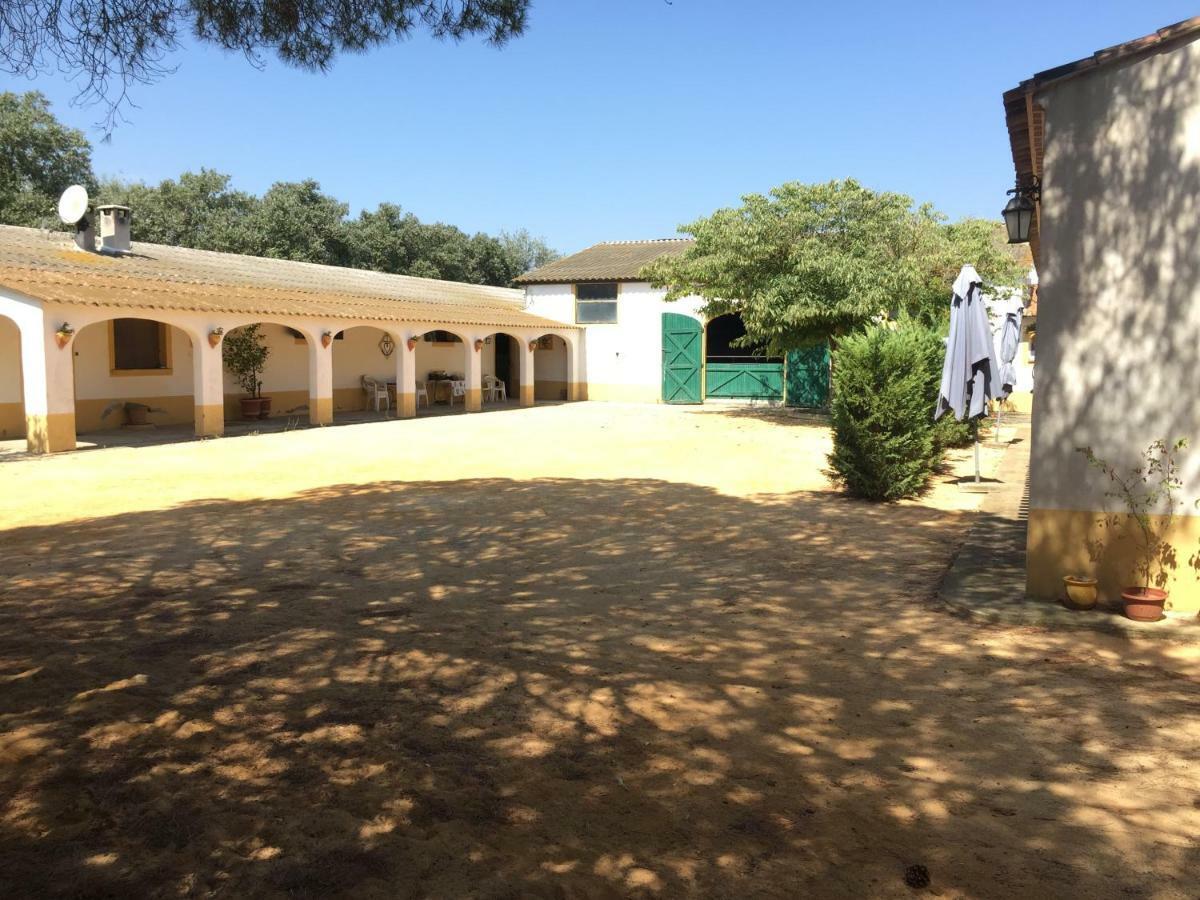 El Rocio 1 Gites Equestre Saintes-Maries-de-la-Mer Bagian luar foto