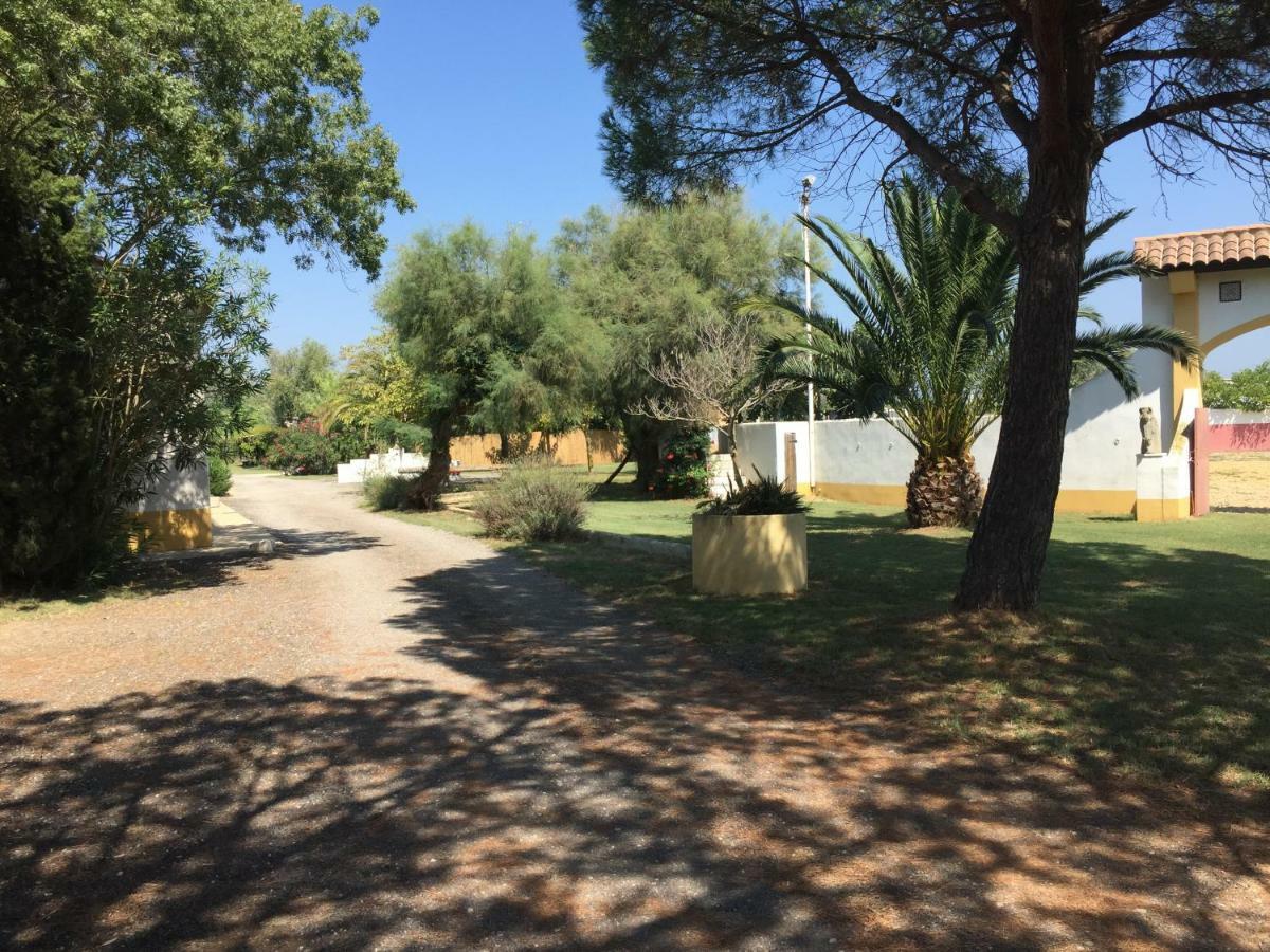 El Rocio 1 Gites Equestre Saintes-Maries-de-la-Mer Bagian luar foto