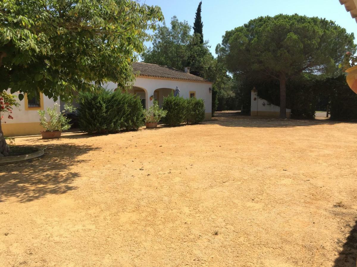 El Rocio 1 Gites Equestre Saintes-Maries-de-la-Mer Bagian luar foto