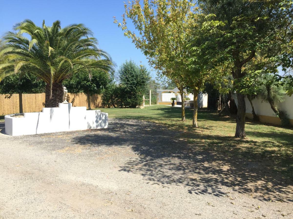 El Rocio 1 Gites Equestre Saintes-Maries-de-la-Mer Bagian luar foto